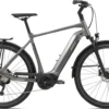 Giant AnyTour E+ 2 GTS Electric Bike 2021in Grey