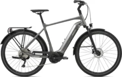 Giant AnyTour E+ 2 GTS Electric Bike 2021in Grey