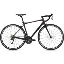 Giant Contend 1 Road Bike 2023 In Rosewood