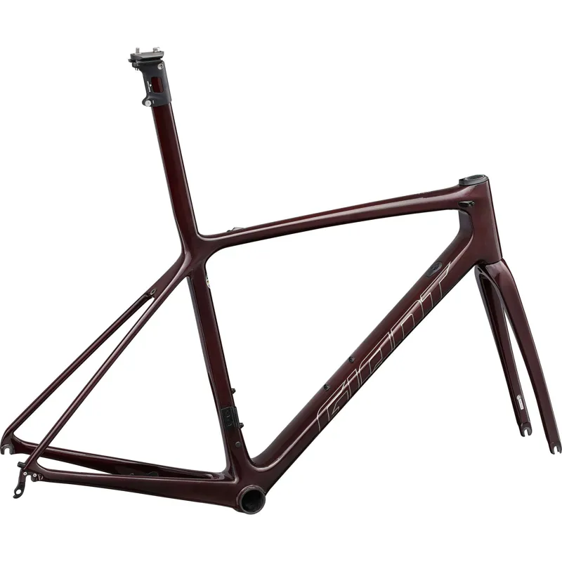 Giant TCR Advanced SL Frameset 2023 In Sincity