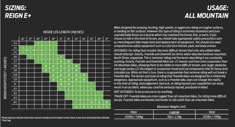 Giant Reign E+ 1 MX Pro EMountain Bike In 2023 Good Grey Black