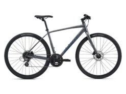 Giant Escape 2 Disc 2021 Bike