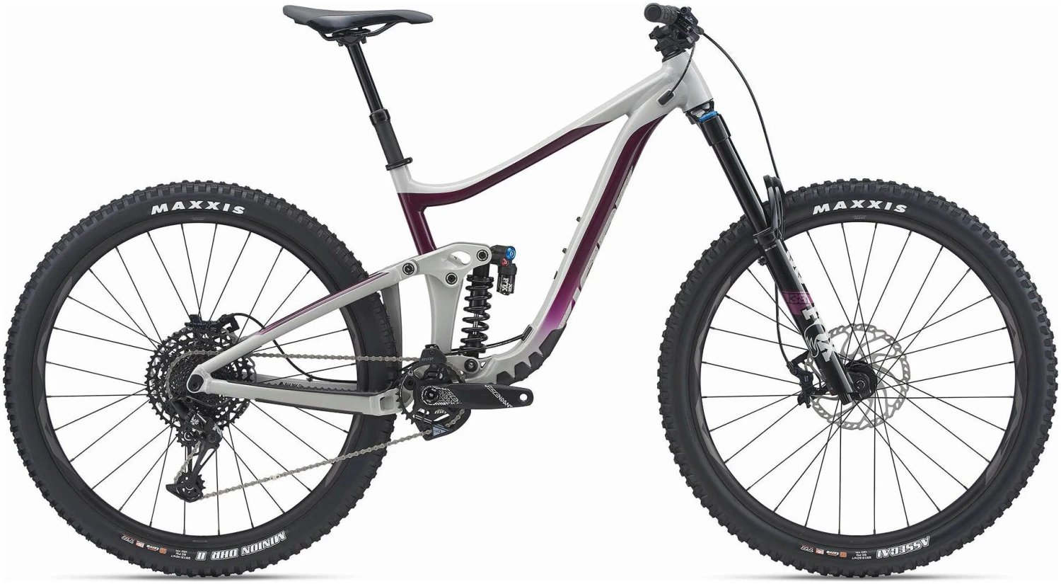 Giant Reign 29 SX 2021 Bike