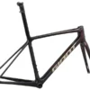 Giant TCR Advanced SL Road Bike Frameset 2023 In Cordovan