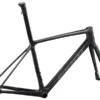 Giant TCR Advanced SL Disc Road Bike Framesset 2023 In Raw Carbon