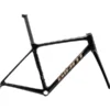 Giant TCR Advanced Pro Disc Road Bike Frameset 2024 In Carbon