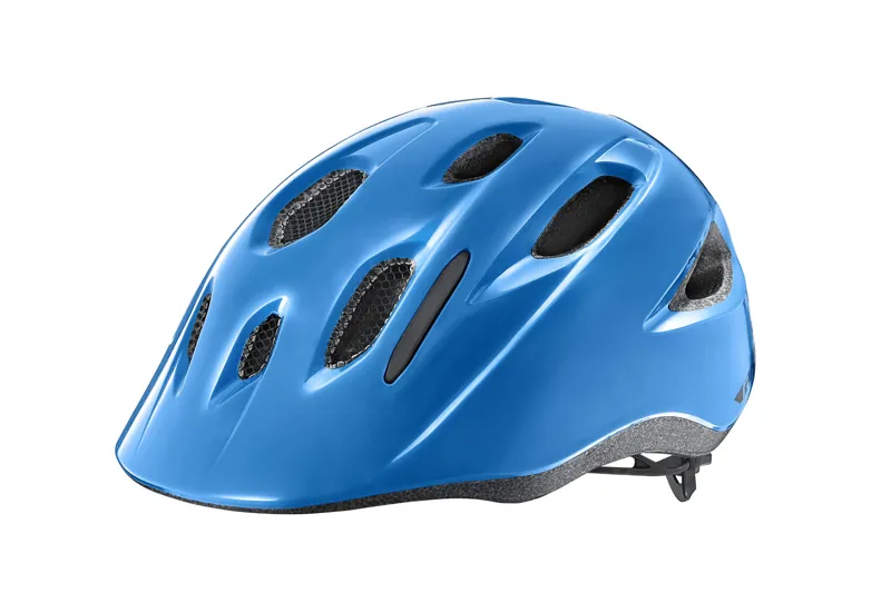 Giant Hoot ARX Youth Helmet OSFM In Blue