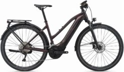 Giant Explore E+ 1 Pro Stagger Frame 2021 Electric Bike