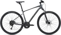 Giant Roam Disc 2 2022 Bike
