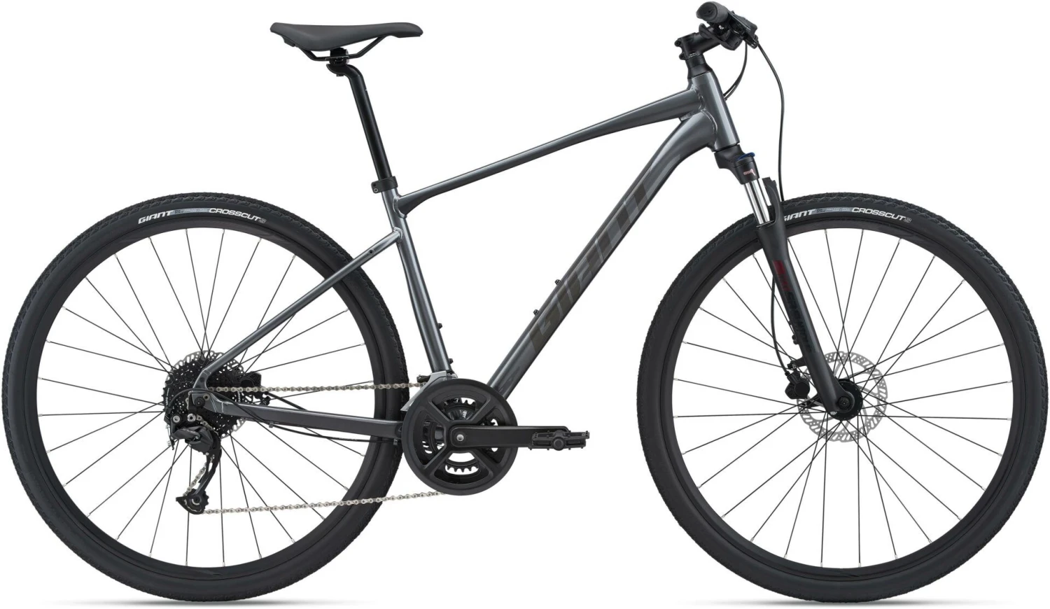 Giant Roam Disc 2 2022 Bike