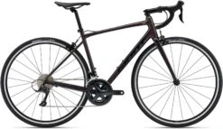 Giant Contend 1 2022 Bike