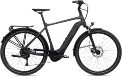 Giant DailyTour E+ 3 GTS 2022 Electric Bike