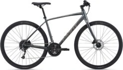 Giant Escape Disc 1 2022 Bike