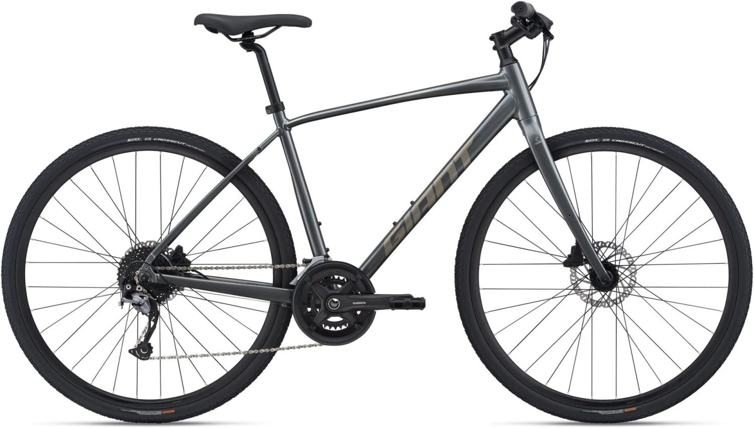Giant Escape Disc 1 2022 Bike