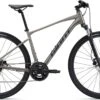 Giant Roam Disc 3 2022 Bike