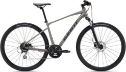 Giant Roam Disc 3 2022 Bike
