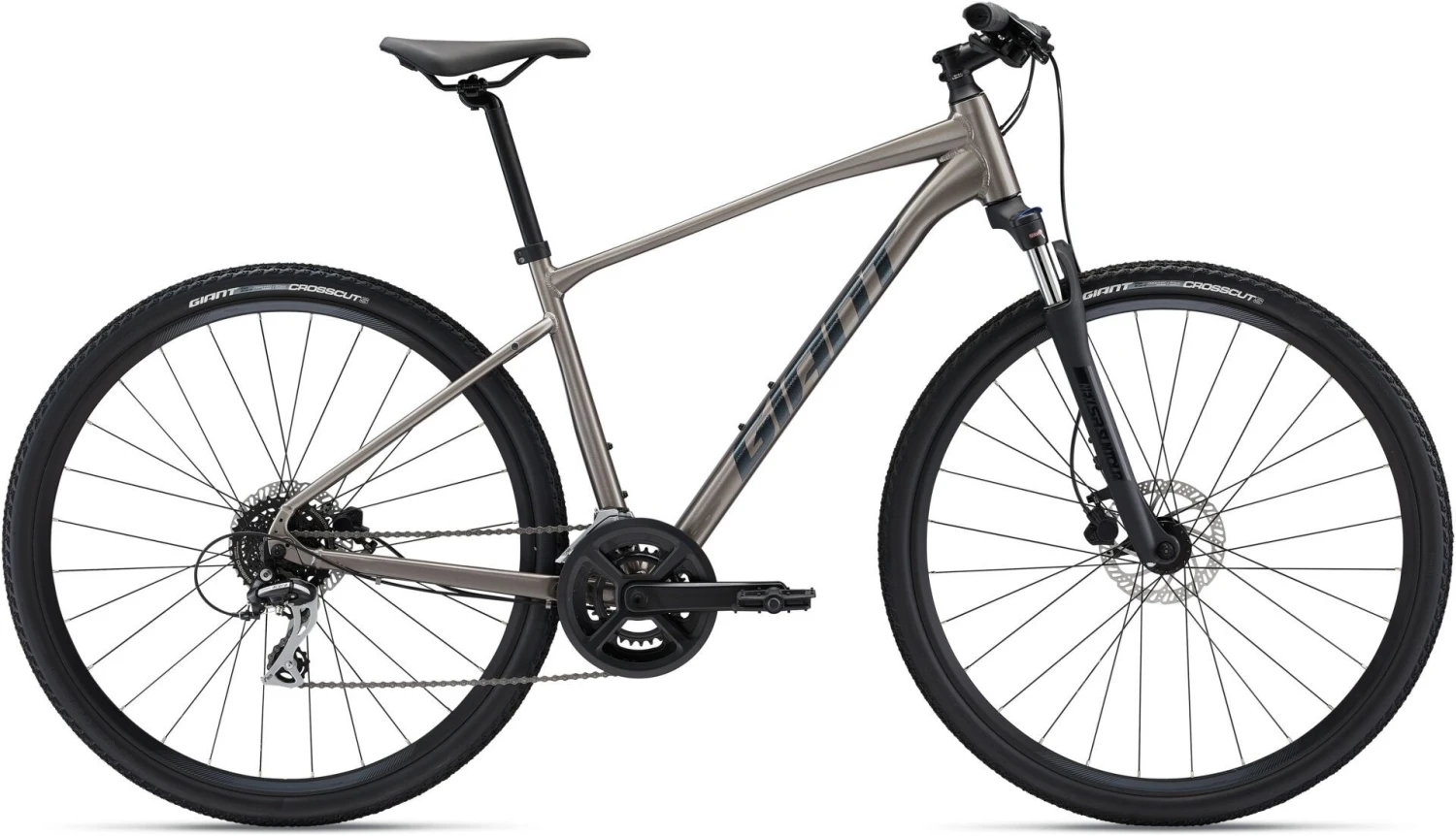 Giant Roam Disc 3 2022 Bike